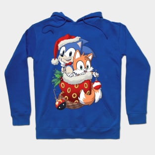 Stocking Stuffer: Hedgehog Hoodie